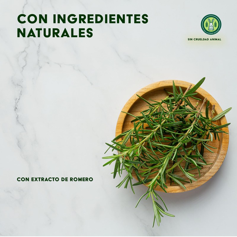 Anlett Tratamiento Capilar con Romero, Kit Mensual, 10 Ampolletas de