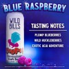 Wild Bill’s Blue Raspberry Ring Pop Craft Soda Pop Soft