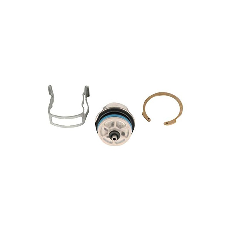 GM Genuine Parts 19210686 Fuel Injection Pressure Regulator Kit with
