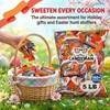 Bulk Chocolate Candy Variety Pack 5 lbs – Candyman Assorted