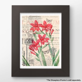 Pintoo Jigsaw Puzzles 300 Piece for Adults - Floral Pattern Easy Storage Snug Interlocking Plastic Puzzle No Glue Required [H1583]