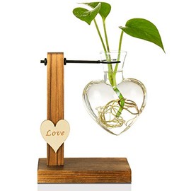 Kingbuy Hydroponic Glass Vase Vintage Desktop Plant Terrarium Planter Bulb Vase Water Planting Propagation Vase Planters Hydroponics Plants with Retro Wooden Stand Home Garden. (D(1 Bulb Vase))