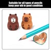 2 Capybara Pencil Sharpener, 2 Push and Pull Eraser, Cute