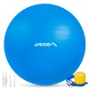 APEXUP Yoga Ball Exercise Ball, Anti Slip Stability Ball Chair,