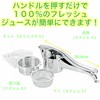 Hand Juicer Stainless Steel HJ – 01