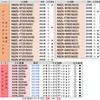 [Tr701] HDMI Conversion Cable E Type A Type E Mirroring