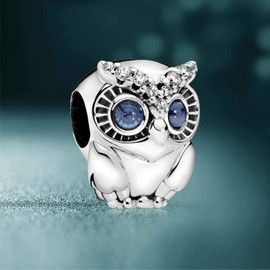 MSPOVOF 2025 Graduation Heart Charm 925 Sterling Silver 5A Cubic Zirconia Pendant for Bracelet Necklaces Jewellery Gift for Women, Cubic Zirconia Silver