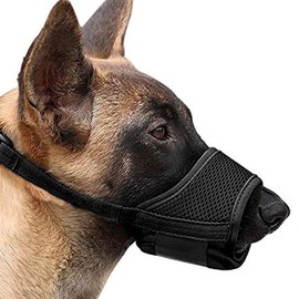 Dog Muzzle Dog Muzzles Breathable Mesh and Durable Nylon Dog Muzzle with Adjustable Loop and Soft Pad Dogs Training Muzzles Prevent for Barking Biting and Chewing Black
