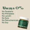 Balmonds Balmonds Skin Salvation Moisturising Balm 120ml - Ointment for