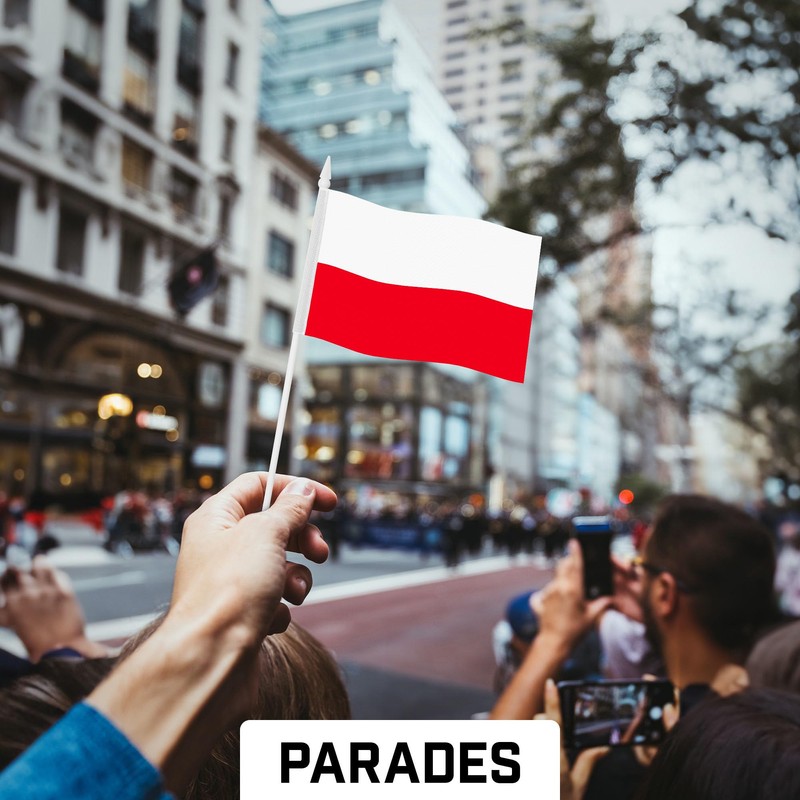G128 12 Pack Handheld Poland Polish Stick Flags | 4x6