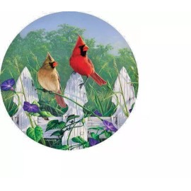 Fashion Jewelry Rare MALE FEMALE CARDINALS BIRD FENCE Pendant 925 Sterling Silver 22" Necklace