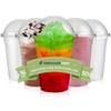 Nationwide Paper Strong Smoothie Cups with Dome Lids 16oz 50pcs