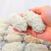 Hiroshima Prefecture Oyster Fry with Clothes, 17.6 oz (500 g),