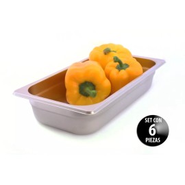 Dilitools Inserto Contenedor Acero Inox Tercio 2.5 Pulgadas Kit Con 6