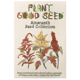 Plant Good Seed Organic Amaranth Seed Collection - Five Packets/600 Seeds Each: Chinese Giant, Dreadlocks, Green Tails, Red Dye, Callaloo - Heirloom Planting Vegetables Gardening Supplies Grain Flower