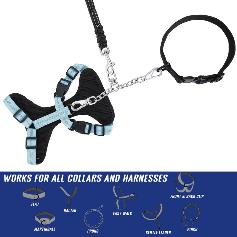 DEYACE Leash Backup with Dual Clasps Prong Collar Safety Clip