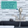 JS Jackson Supplies Dual Handle Pull Out Faucet, Stainless Steel