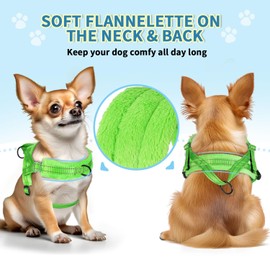 SlowTon No Pull Small Dog Harness and Leash Set, Puppy Soft Vest Harness Neck & Chest Adjustable, Reflective Lightweight Harness & Anti-Twist Pet Lead Combo for Small Medium Dogs (Green-Front Clip,XS)