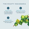 Mauna Loa Premium Roasted Macadamia Nuts, Sea Salt Flavor, 4
