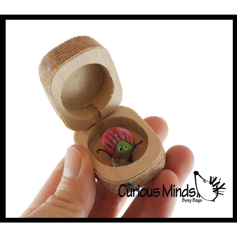 Love bug in Box Novelty Gift - Bugs Legs Wiggle