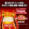 血流改善 腰ホットン つらい腰痛を温熱でやわらげる 衣類に貼る 10枚入 小林製薬