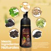 Shampoo Tinte Cubre Canas Natural Jengibre 500ml Piezas