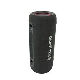 ROYAL AUDIO RAS02 Wireless Portable Speaker, IPX5 Loud Stereo Sound, Bassboom Technology, TWS Pairing, 7 Hrs Playtime with Lights for Home Outdoor (Black)