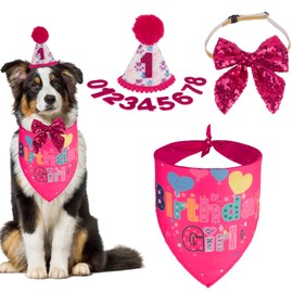 PTDECOR Dog Birthday Party Supplies, Boy Girl Dog Birthday Hat with Numbers Dog Puppy Birthday Bandanas Dog Hat Bow Set for Small Medium Large Dogs Pets (Pink)