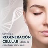 HEBBE - Retinol 10g | Combate Envejecimiento | Regula Producción