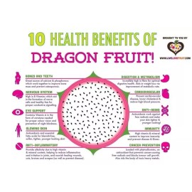 Cactus 100 Red Dragon Fruit Seeds Pitaya Pitahaya Hylocereus Undatus Cactus Grow Rare