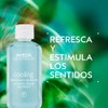 Aveda Cooling Balancing oil concentrate Aceite Refrescante para el Cuerpo