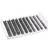 Goddvenus Cluster Lashes D Curl Individual Lashes, 100pcs Lashes Individual