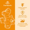 ORGANIC INDIA Turmeric Curcumin Herbal Supplement - Joint Mobility &