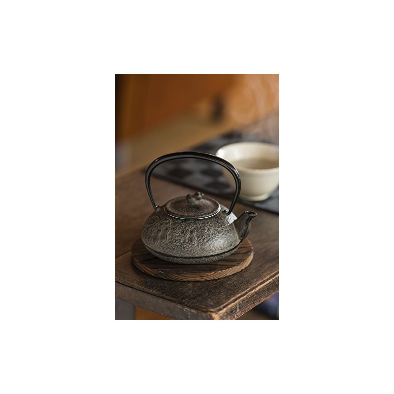 Ikenaga Iron Works Iron Teapot, 1.8 fl oz (0.4 L),