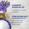 Dr Teal's Epsom Salt Soaking Solution, Soothe & Sleep, Lavender,