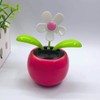 Solar Dancing Flower Car Dashboard Decorations - Funny Solar Powered