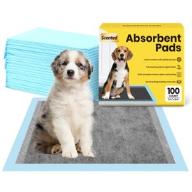 Dog Pee Pads: Super Absorbent & Leak-Proof Puppy Pads - Charcoal Thicken Disposable Dog Training Pads Potty Pads for Dogs - Pee Pads for Doggie Cats Rabbits Quick Dry 24''x24'' Pack of 40