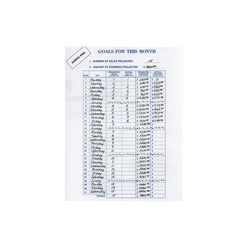 Hannah Daily Sales Planner, Blue, Spiral Bound, 8.5 x 11