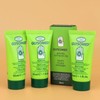 Glysomed Hand Cream Original 30ml 3-pack (+case included) / 글리소메드
