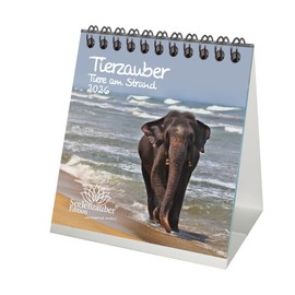 Tierzauber Beach Desk Calendar 10 cm x 10 cm for 2026 Different Animals – Gift Set Contents: 1 x Calendar, 1 x Christmas Pendant (Total 2 Pieces)