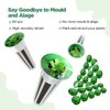 LetPot 172 Pcs Seed Pod Kits, Hydroponics Growing Sponges, Grow