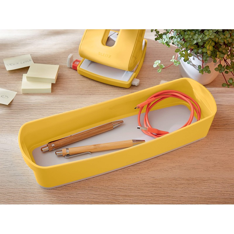 Leitz Storage Boxes, Warm Yellow, 307 x 55 x 105
