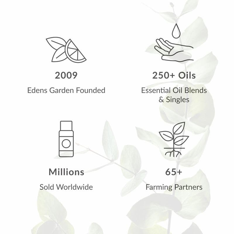 Edens Garden Breathe Easier Aromatherapy Room Spray, All Natural &