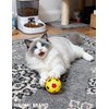 HEUHAI 5 Pack Cat Toys Balls Indoor Kitten Interactive Play