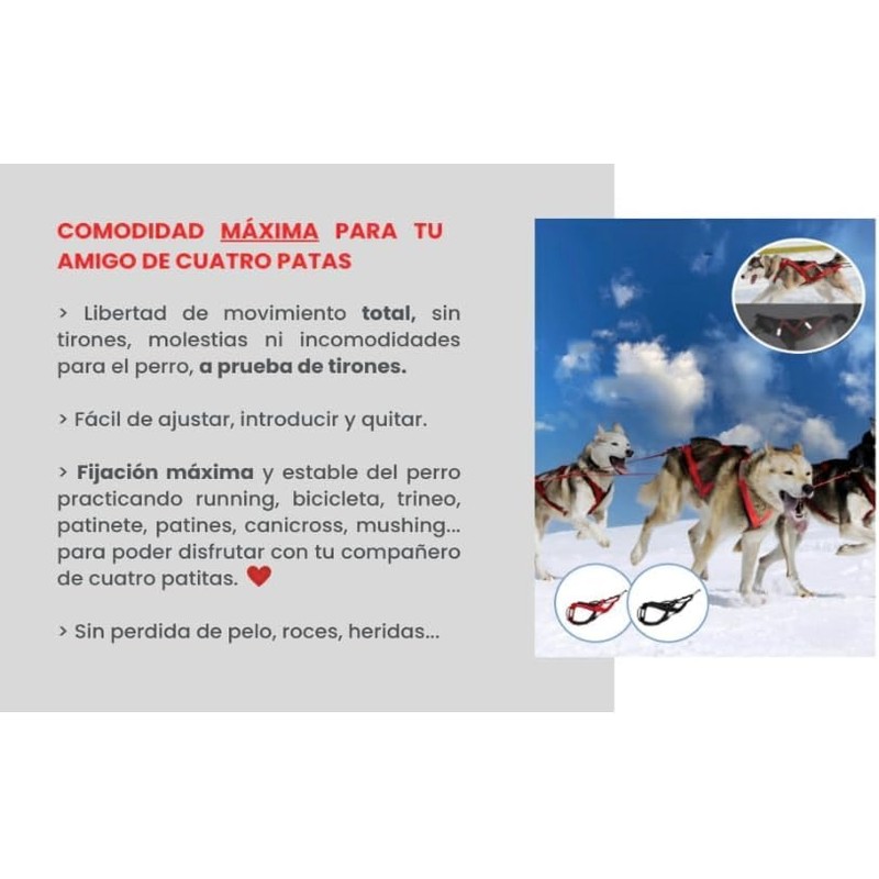 Total Harness Anti Traction for Sports with Dog, Running, Canicross,