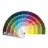 Color Matching Guide