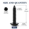 #8 x 3/4" Wood Screw 100Pcs Truss Head Phillips 18-8