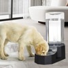 Sfozstra Automatic Pet Water Dispenser with Stainless Steel Bowl, Gravity