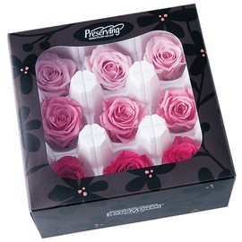 Earth Farms Preserved Rose Star Characters kara-aso-to (9 Wheels) – # Pink Mix do003484 – 110