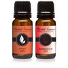 Eternal Essence Oils 2 Pack 10ml Premium Fragrance Oil -